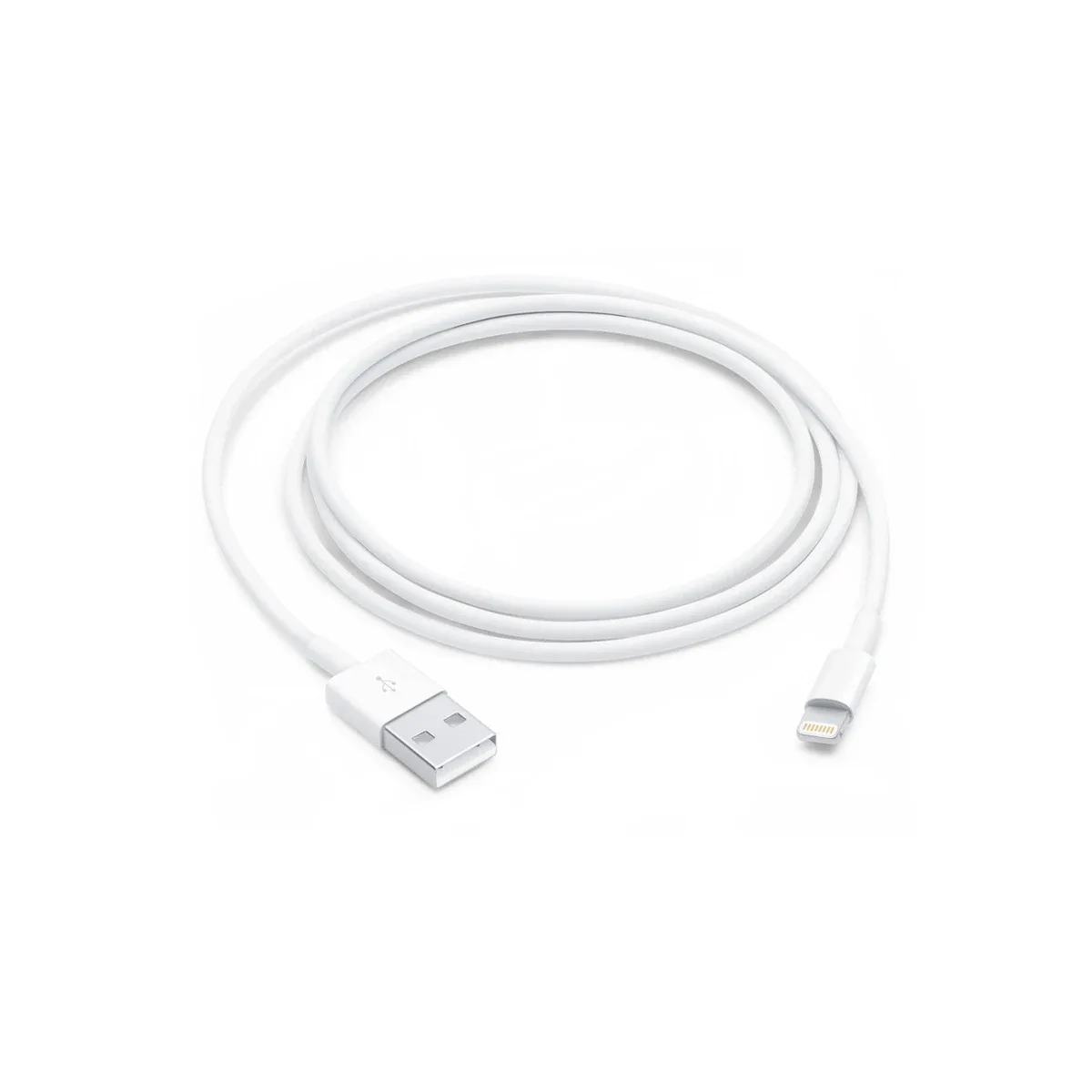 Apple Lightning to USB Cable (1 m)